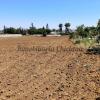 Parcela de 6.300 m2 con Casa a Reformar, Callejón Borreguito. Chiclana. Inversión junto Hotel Fuentemar